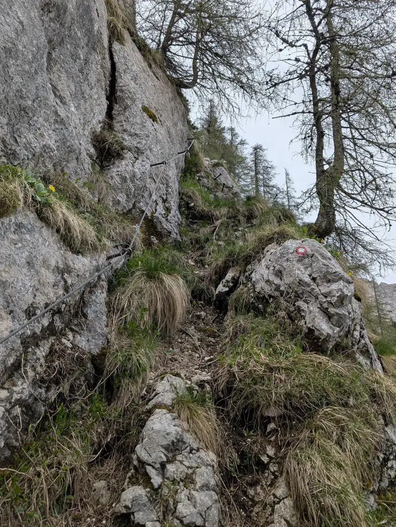 There is also some protecion in narrower passages which are quite abundant in lower part of the Jelci descent. On Suhadolnikova planina meadon it joins our ascent path. 