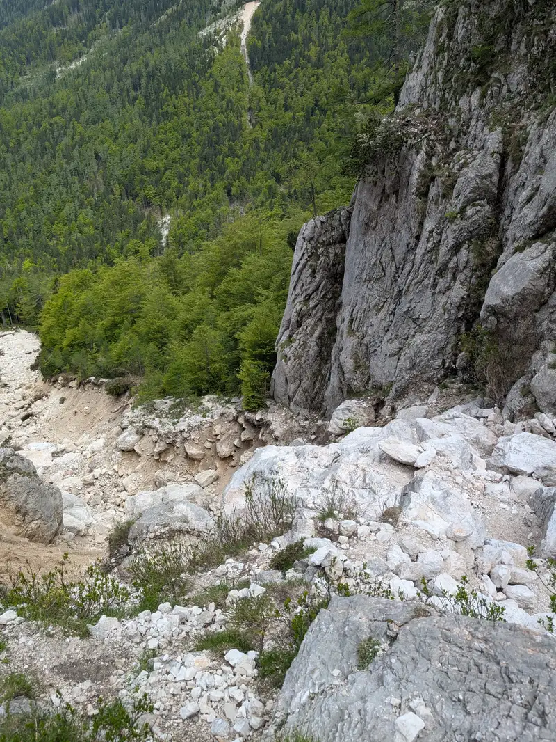 The trail used to run along/via this chute. It still does just that it is more challenging right now, we leave the path where the trees meet the rock in the centre.