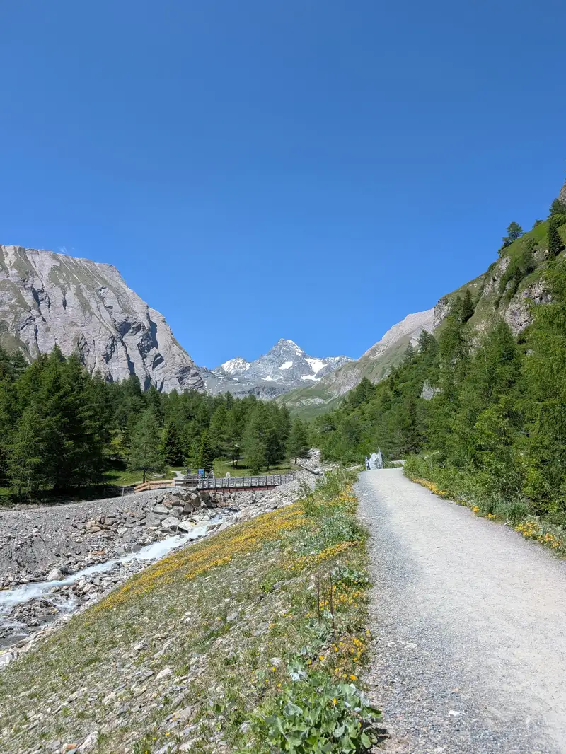 Ködnitztal with iconic view of Grossglockner and also Stüdlgrat