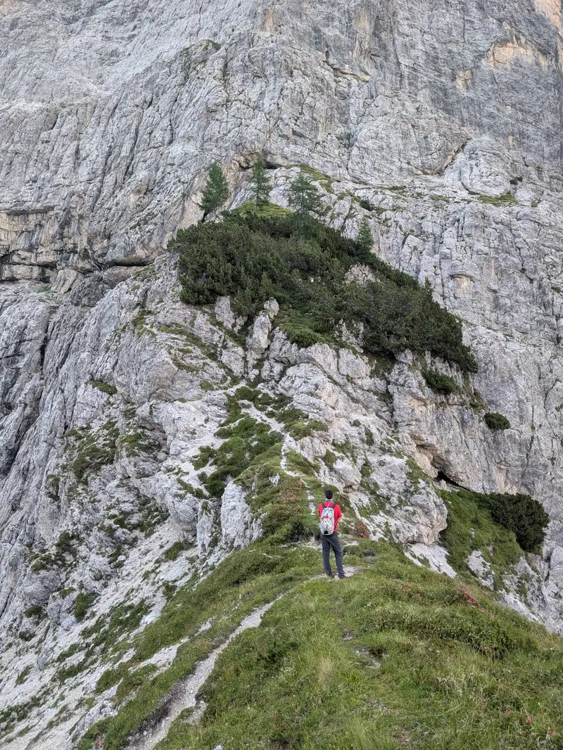 In this spot we need to leave the trail. Follow that path up into direction of dwarf pine groove. Can be crossed directly or by-passed on left (exposed). Then climb on the grassy shelf just above line of trees, take diagonal ramp to the right. Once up, turn left and follow the ledge.