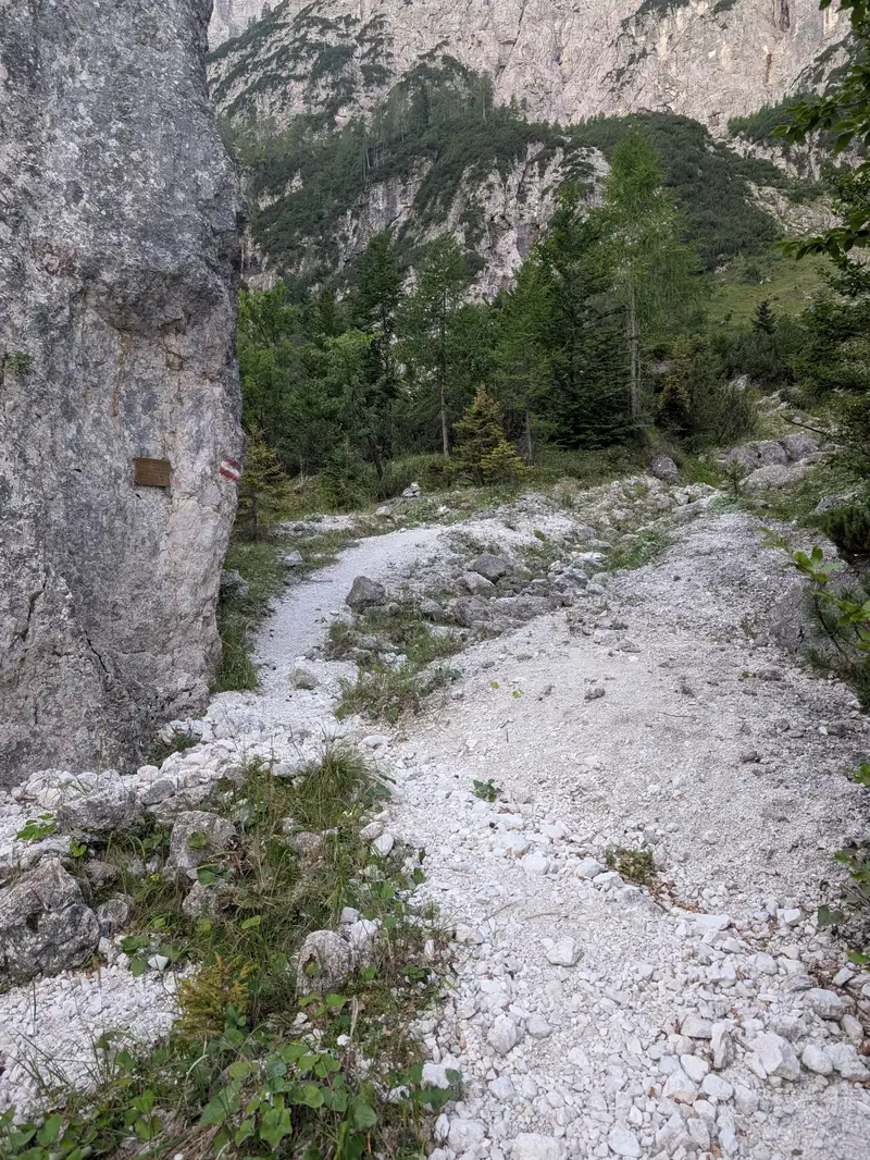 Terrain in lower sections of sentiero Carlo Chersi trail.