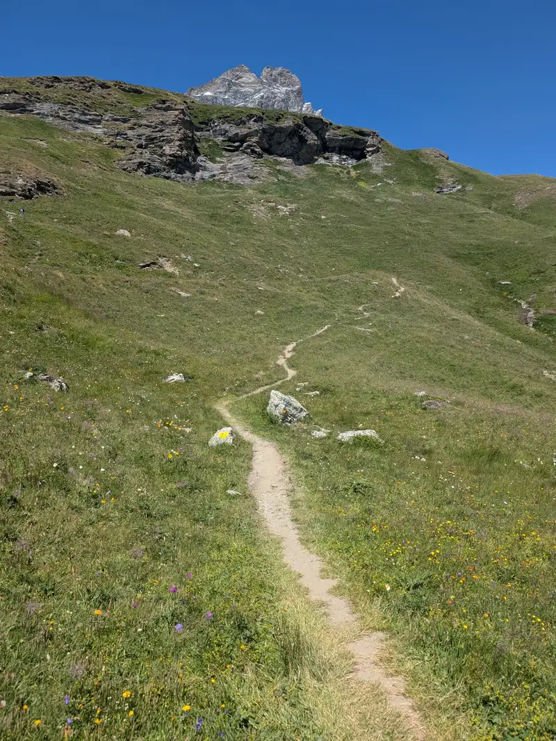 This is how lovely the ascent to the Oriondé-Duca degli Abruzzi hut looks like, not part of the actual summit climb.