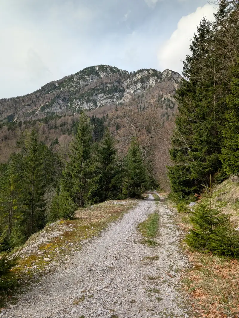 First stretch of ascent is easy walking up this gravel road ...