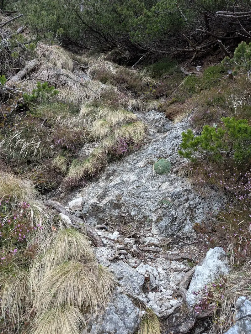 Nastier section that requires more caution, especially when going down.
