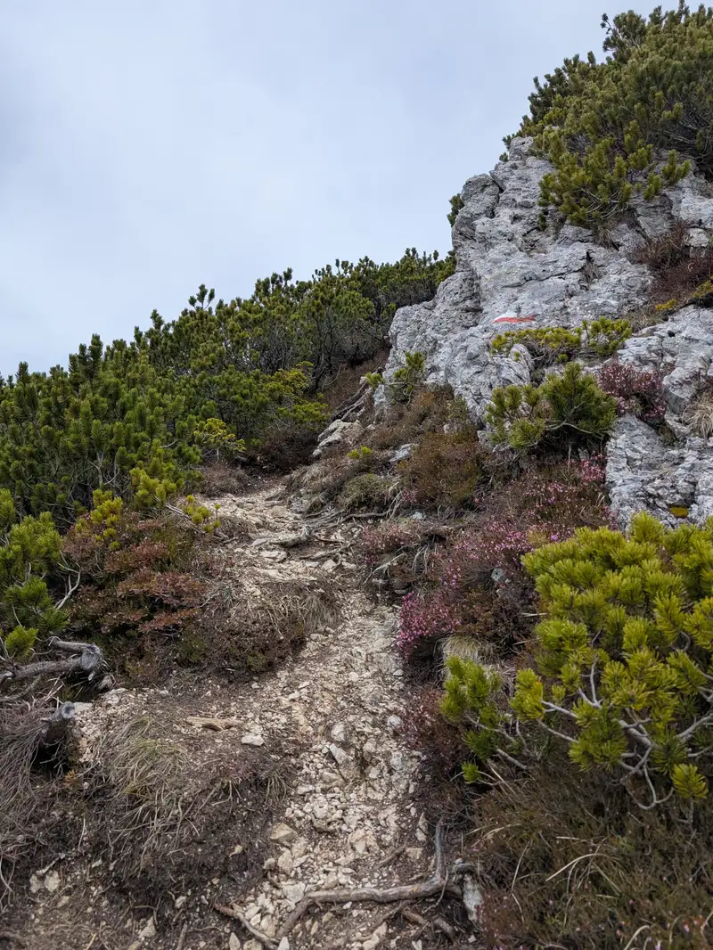 Path and trail marking around 1750 meters of elevation.