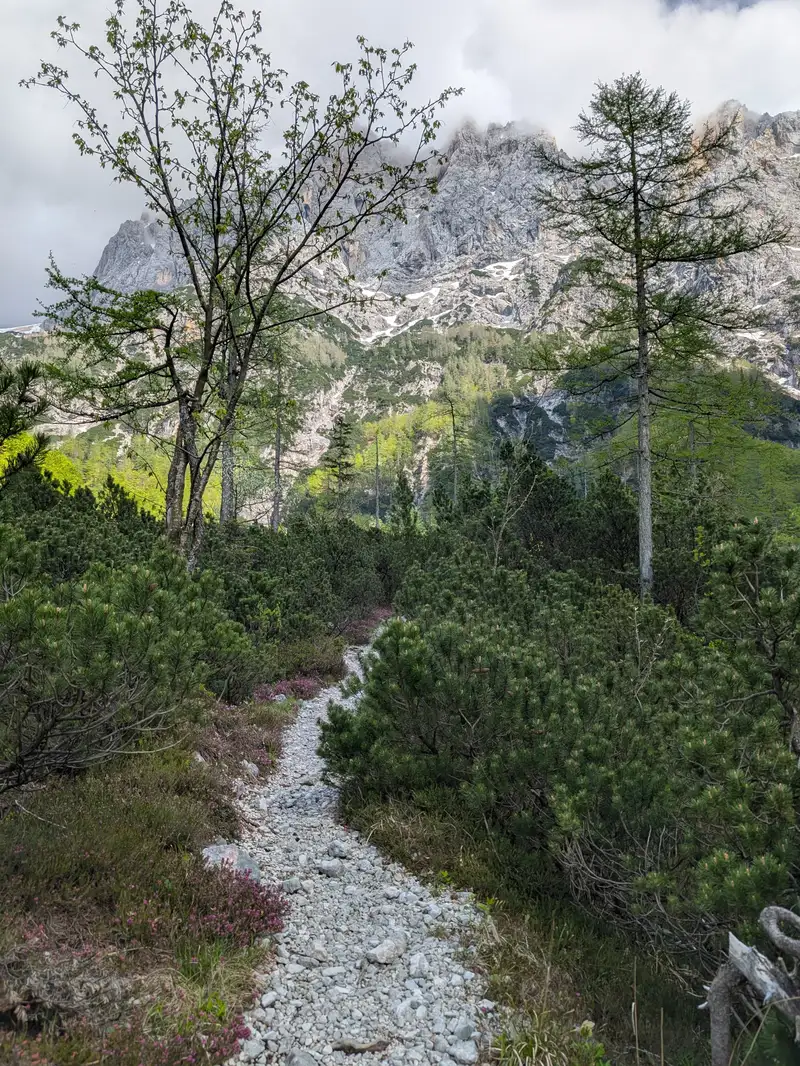 Path in the lower part of the ascent.