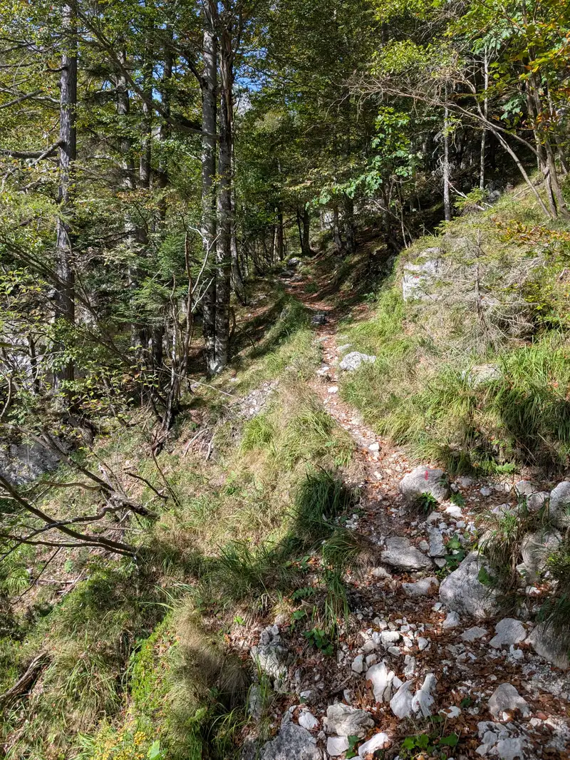 Ascent along Rio Bianco stream, not that steep and quite picturesque.