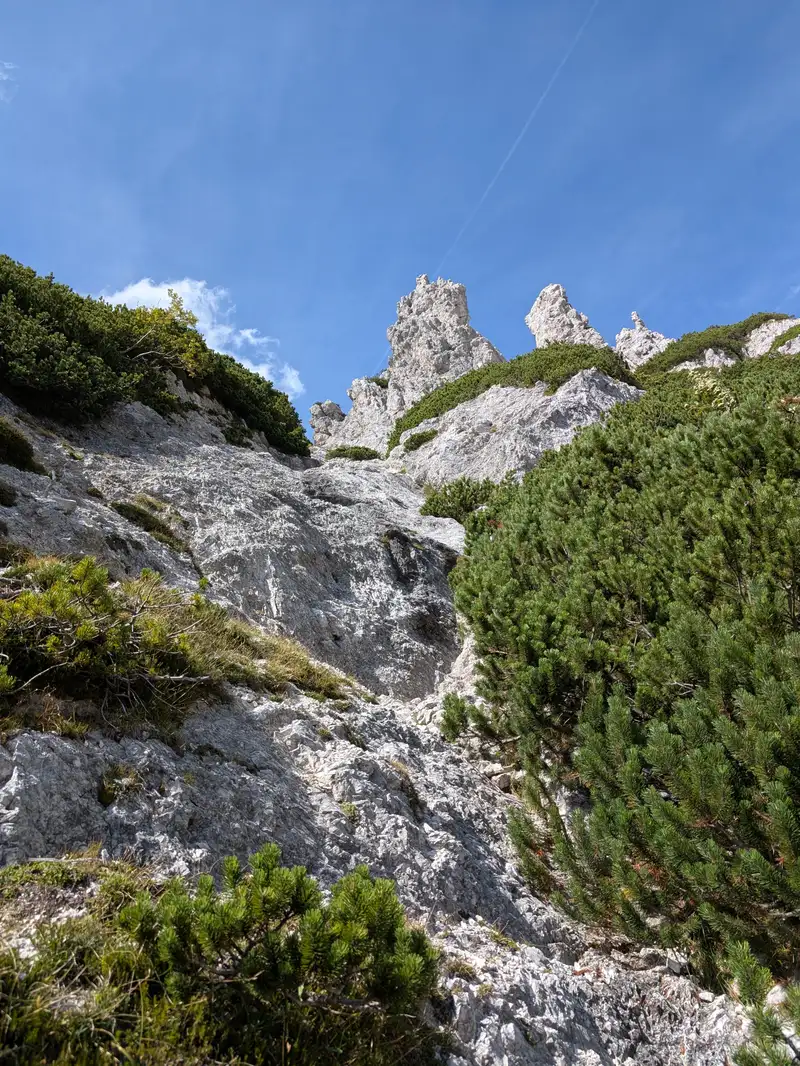 Typical terrain in normal route, lots of caution is needed because the path is rather slippery.