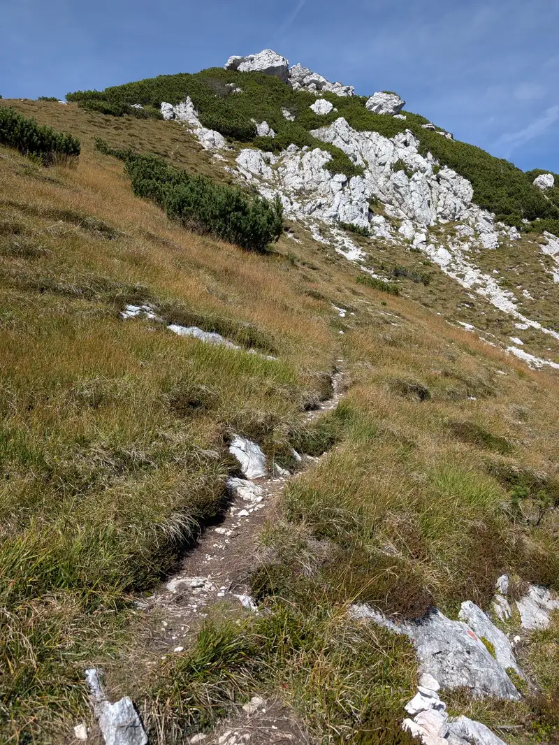 We are back in grassy terrain, now only couple of minutes and about 100 meters up. Exit path will join the normal route to the top.